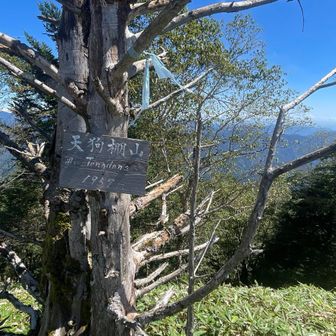 石丸峠を通過して、教えてもらった天狗棚山登着。