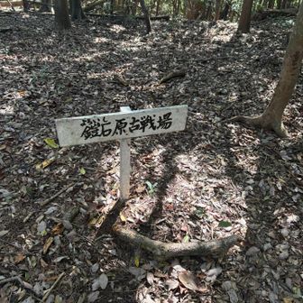 山は戦場になったところが多いなぁ。
ここから青山方面へ向かう。