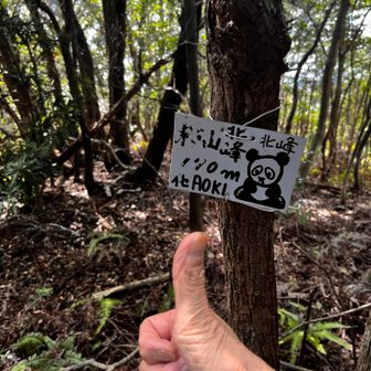 行きに通過してしまった横山北峰