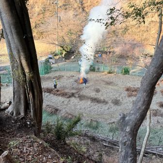 わいるどだろう〜