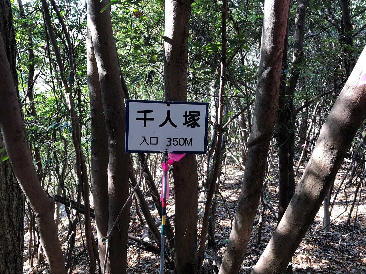 下りで発見。また今度行ってみよう。