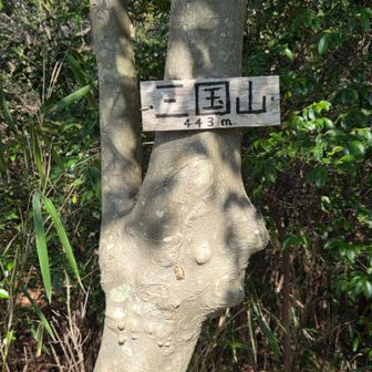 三国山
