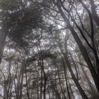 
間抜けな俺の足元に ずぶ濡れリュック
