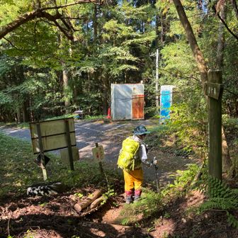 保井野登山口にぶじ帰還　
復路の途中でマムシやらウリ坊に遭遇　
やつら(マムシ)写真撮ろうとすると攻撃する、らしい　