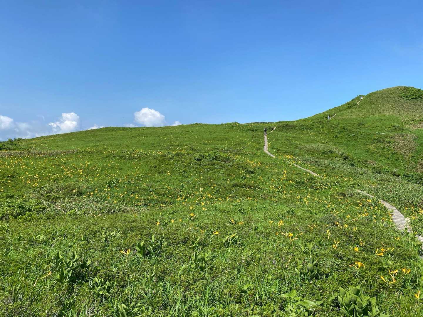 8合目登山口-白木峰-浮島の池 周回コースの写真