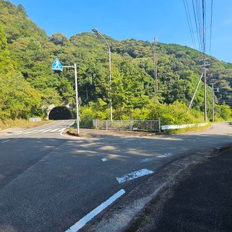 最初は登山口まで車道沿いに歩くが、トンネルが見えてきたら右側に