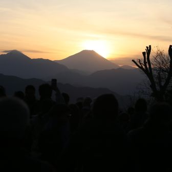 いいもの見ました！