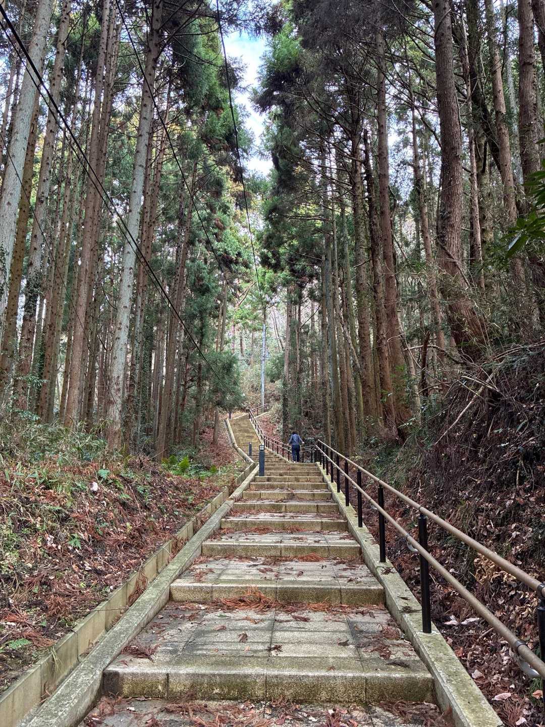 ずっと階段
