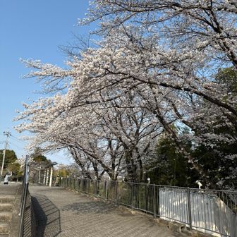 早い時間に終わったので一周できそう