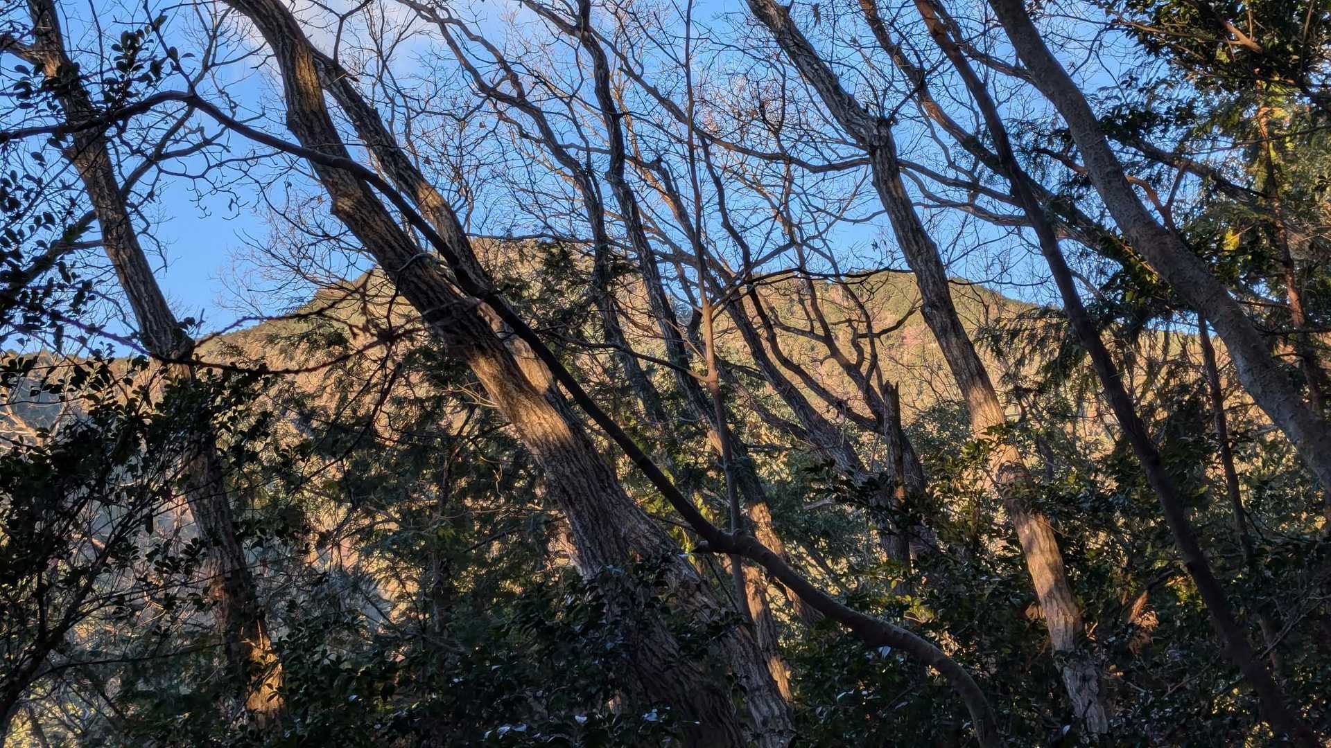 下山中に二股山を撮影