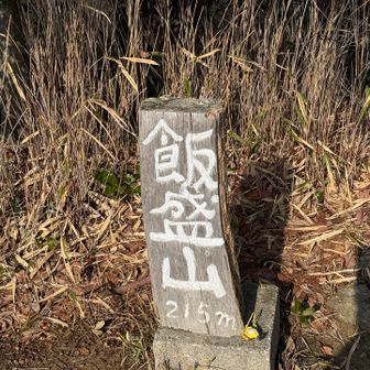 飯盛山、215m、今日の最高峰です