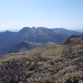 ただ欲張って天狗まで足を延ばしたものの　今までの悪路と時間も経過しており　帰山の時間がどう見ても日暮れになる不安感と水場が三嶺にもあるであろうと云う誤算から水もすでに５００ｍｌを切っており　正直余裕が減ってきてました！