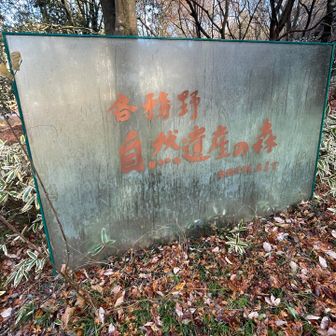 各務原アルプス（関南アルプス）・八木三山 各務野自然遺産の森から