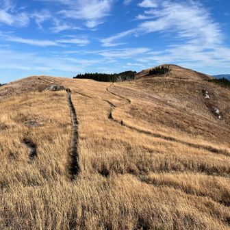 それでも素敵💓