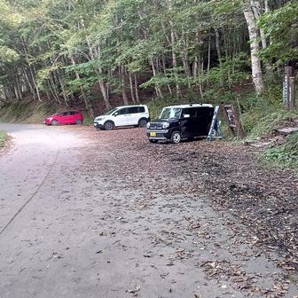 ヒヤヒヤしながら駐車場に戻りました💦