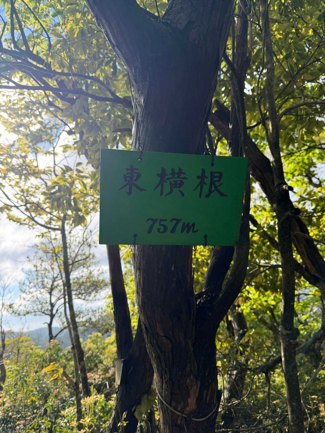ココもスルー