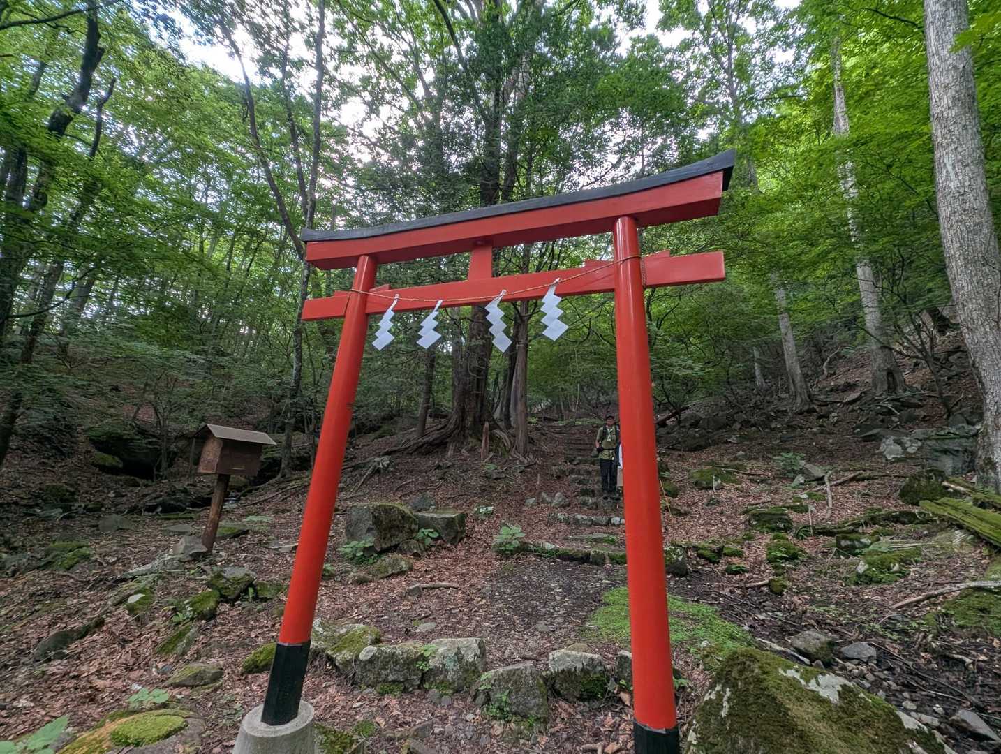 戻ってきました！

安全登山、ありがとうございました！
