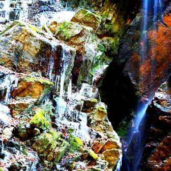 向かって左側苔の岩が凍っています