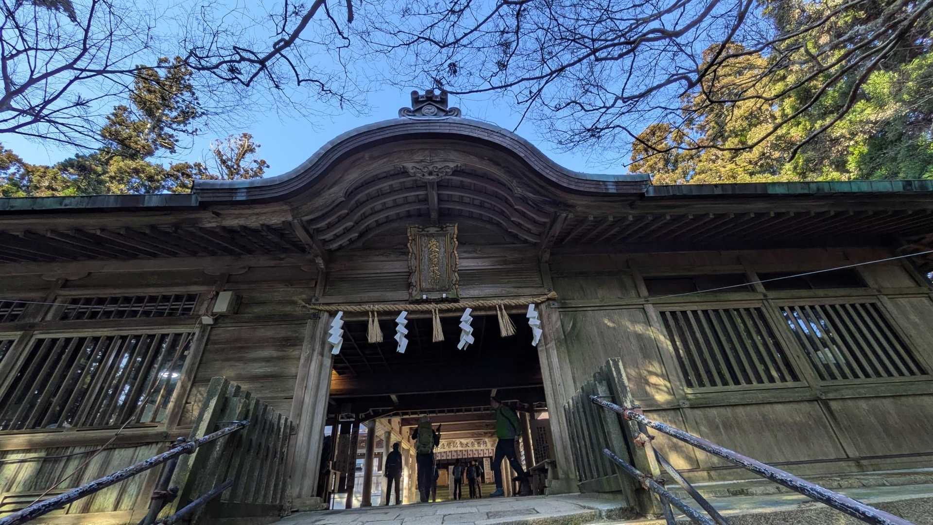 来ました！