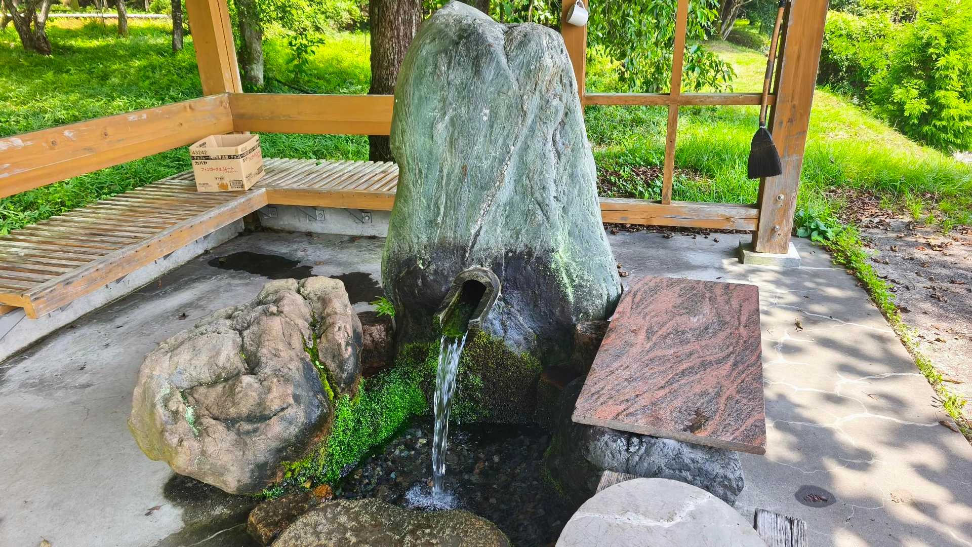 野村山-野村坂-大谷山 周回コースの写真