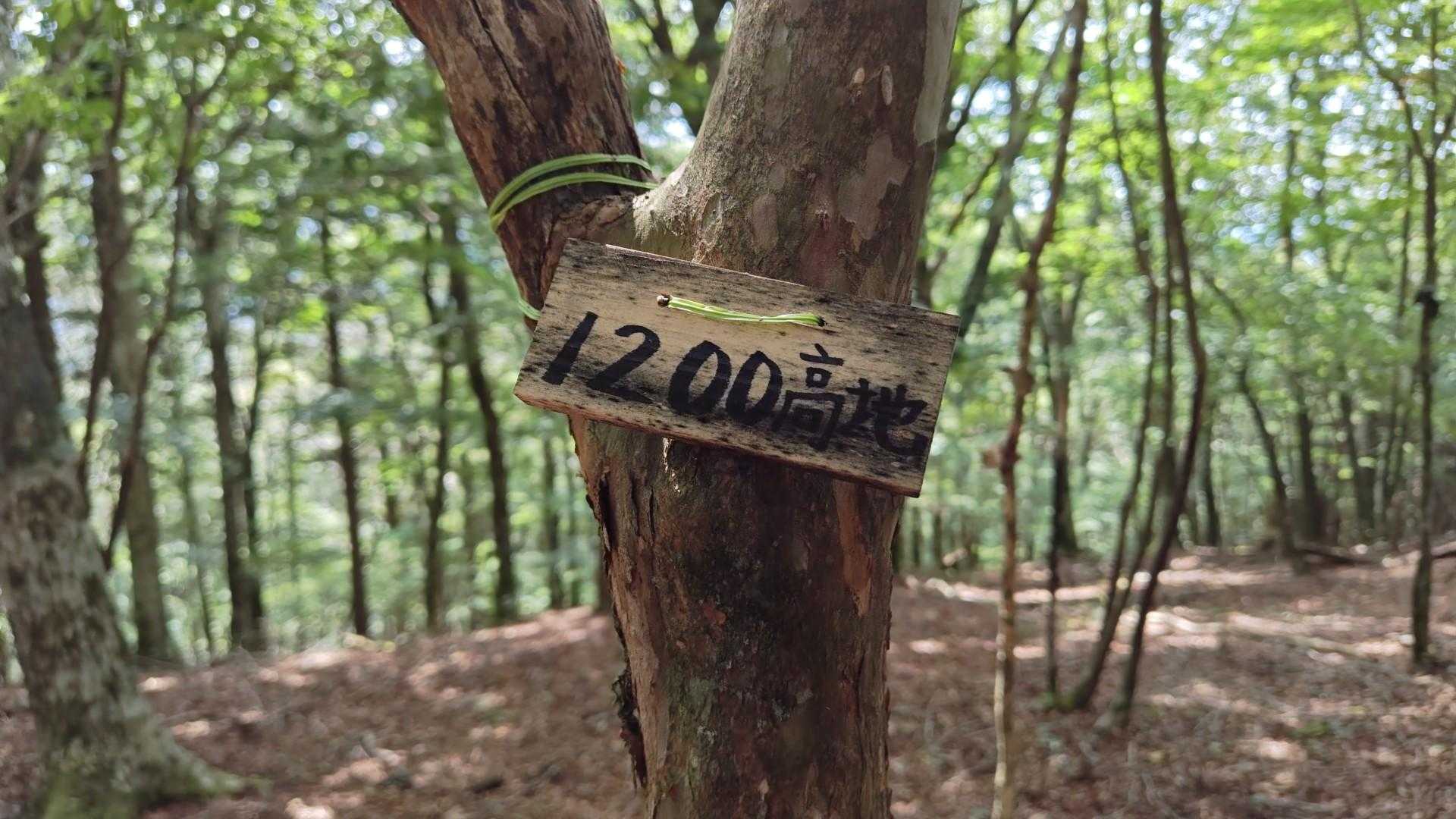 1200高地
なんか…カッコええ
