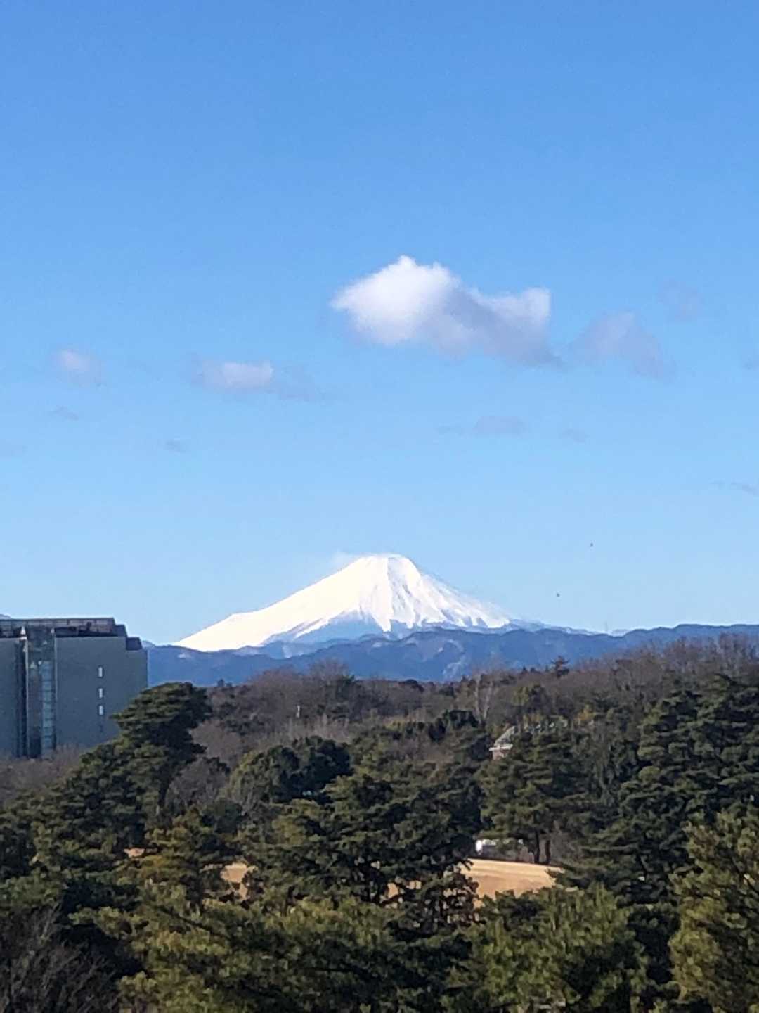 とてもきれいな本物の富士山でした。