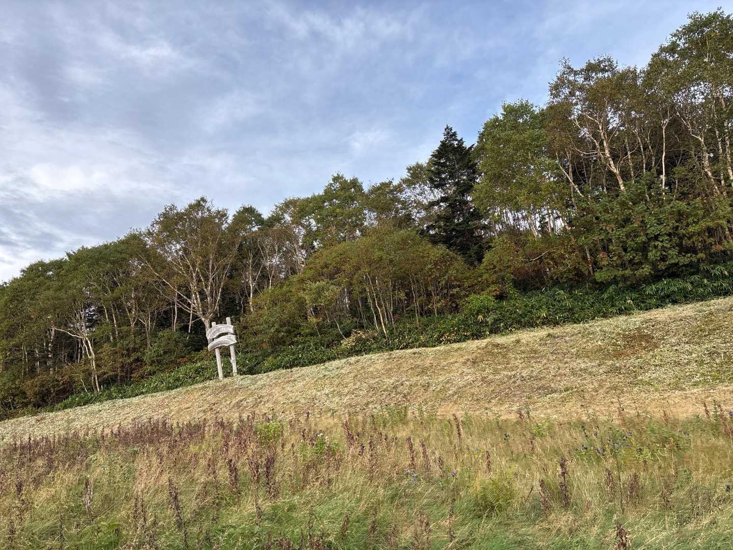 あった、てっぺん！