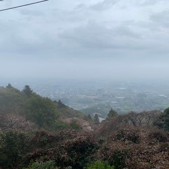 展望台からの眺め
曇天からの雨
