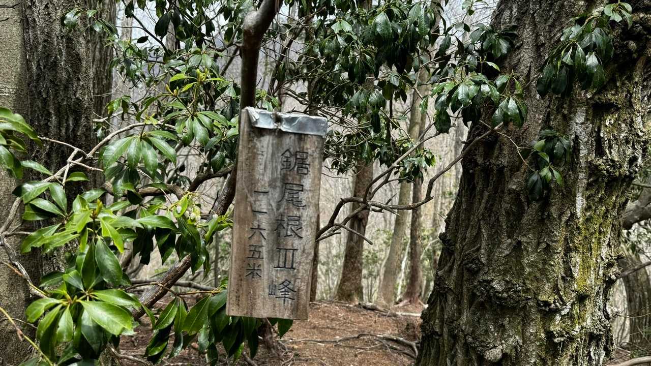 梶尾根Ⅲ峰