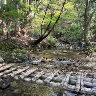 金糞峠から先へ初めて行く