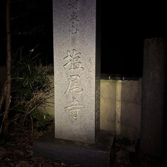 降りてきた〜🥺