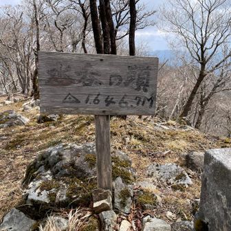 「水呑みの頭」水場がありそうなネーミングだけど無かった。