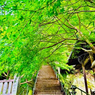 弥谷寺の紅葉は🍁非常に美しく香川県でも隠れた紅葉の名所として知られている
紅葉🍁の時期に登りたい場所です👍