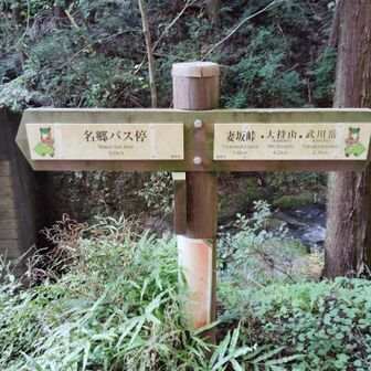 名郷エリアに入りました！