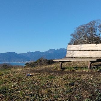 人が多い時もあるのか、ベンチが至る所にありました。