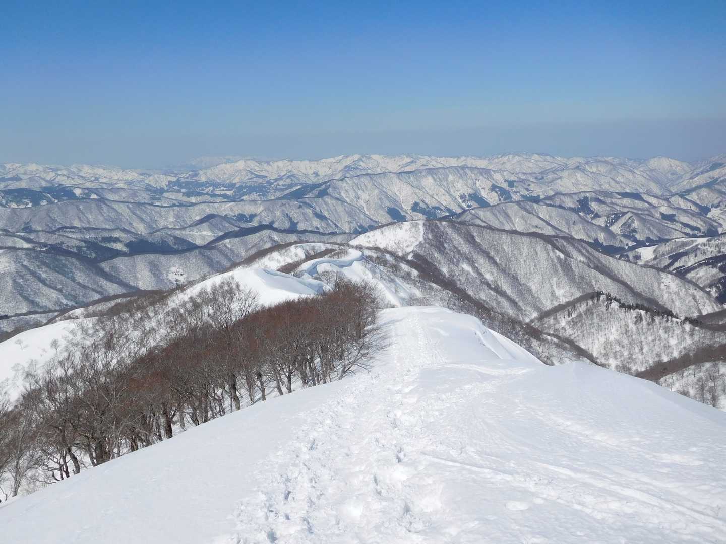 栃谷登山口-片折岳-金剛堂山-中金剛堂山 往復コースの写真