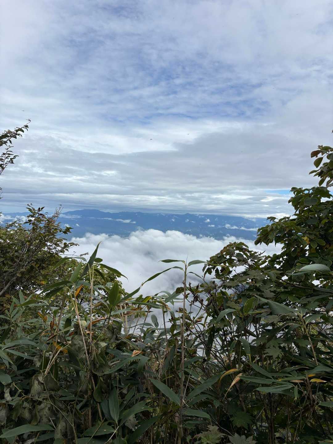 高度が上がると雲の下に、