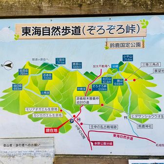 最初は全部回収してやろうかと思ってた山達w