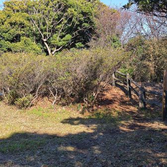 旗立山の頂上に、旗立山って書いてある説明板とか無かったっけ？