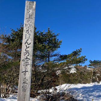 レポをみるとスノーシューはいらなさそう
アイゼンは持参しましたが
ゲレンデ辺りからチェーンスパで
踏み抜きもなく下山まで快適でした〜
しかもマイナス3,4°なのに寒くない！
頂上まで上着なし
本日は🔵なり♪