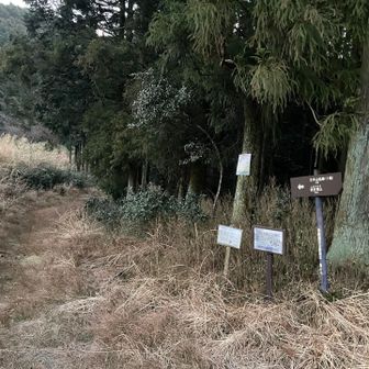 今日は進路を左に