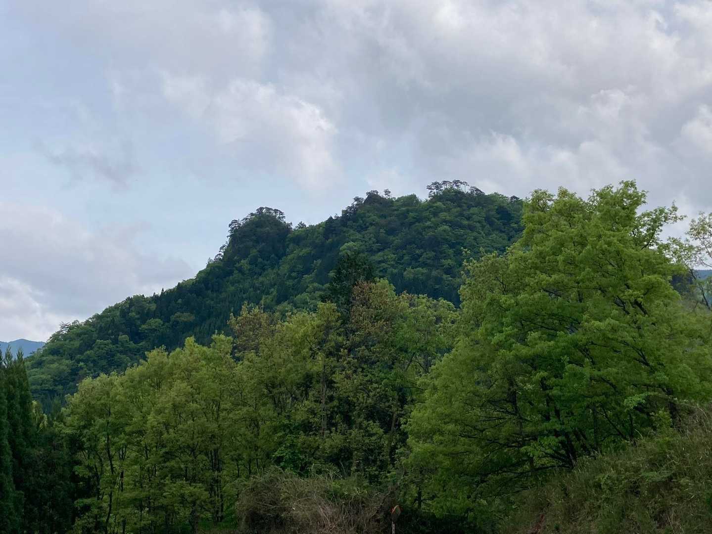 見上げる