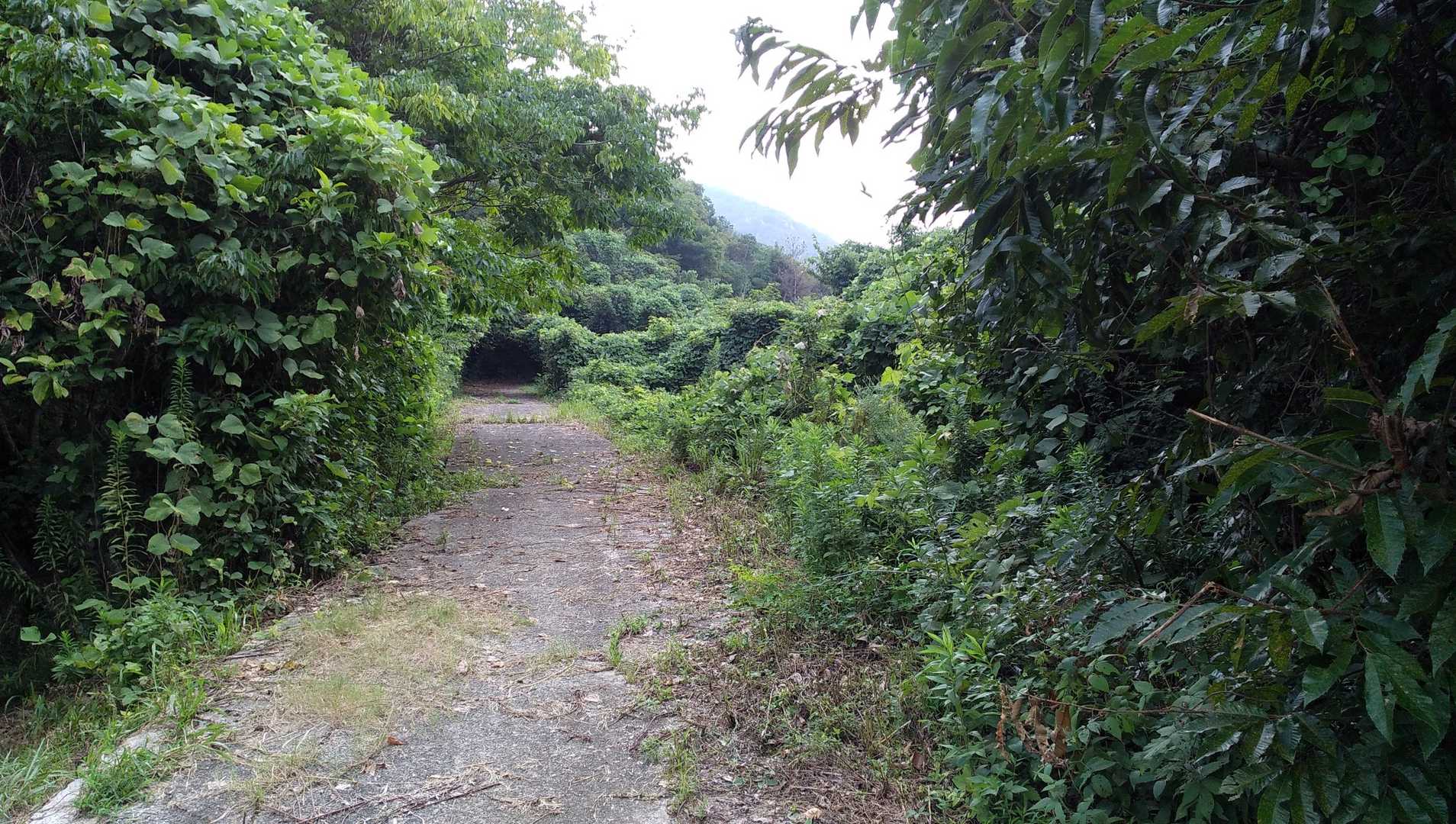 登山風景1。