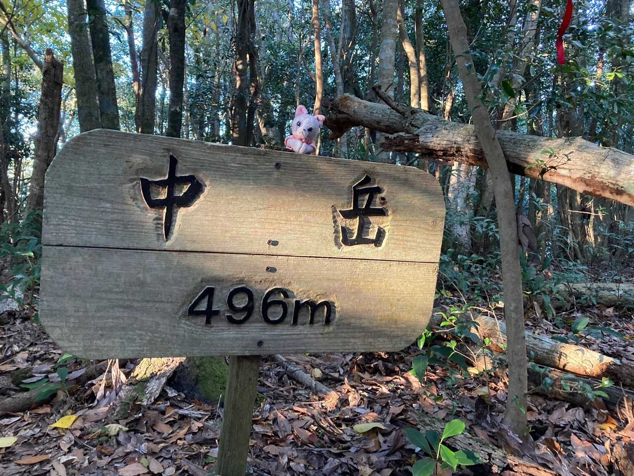 中岳も初！