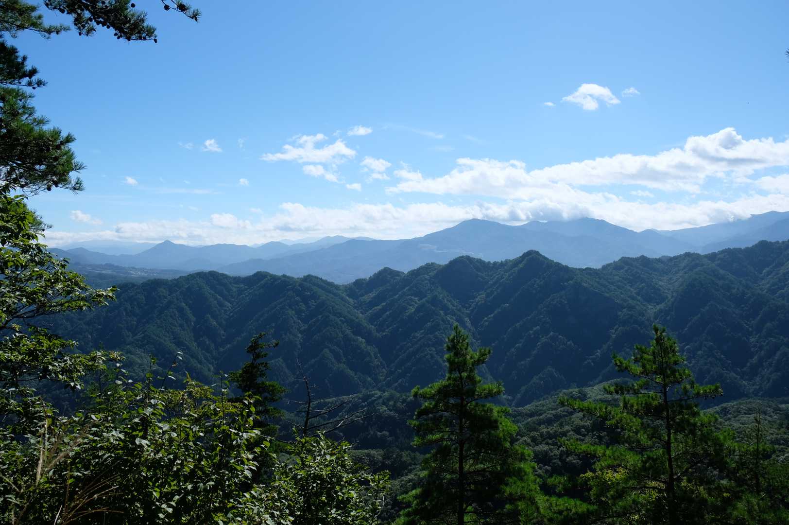 京ヶ倉 往復コースの写真