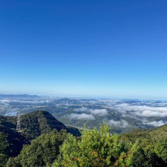 展望台誰もいなく貸し切りでこの景色🤩