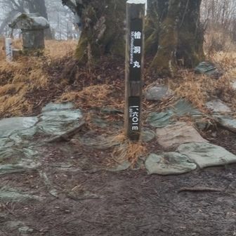 たどり着いた山頂