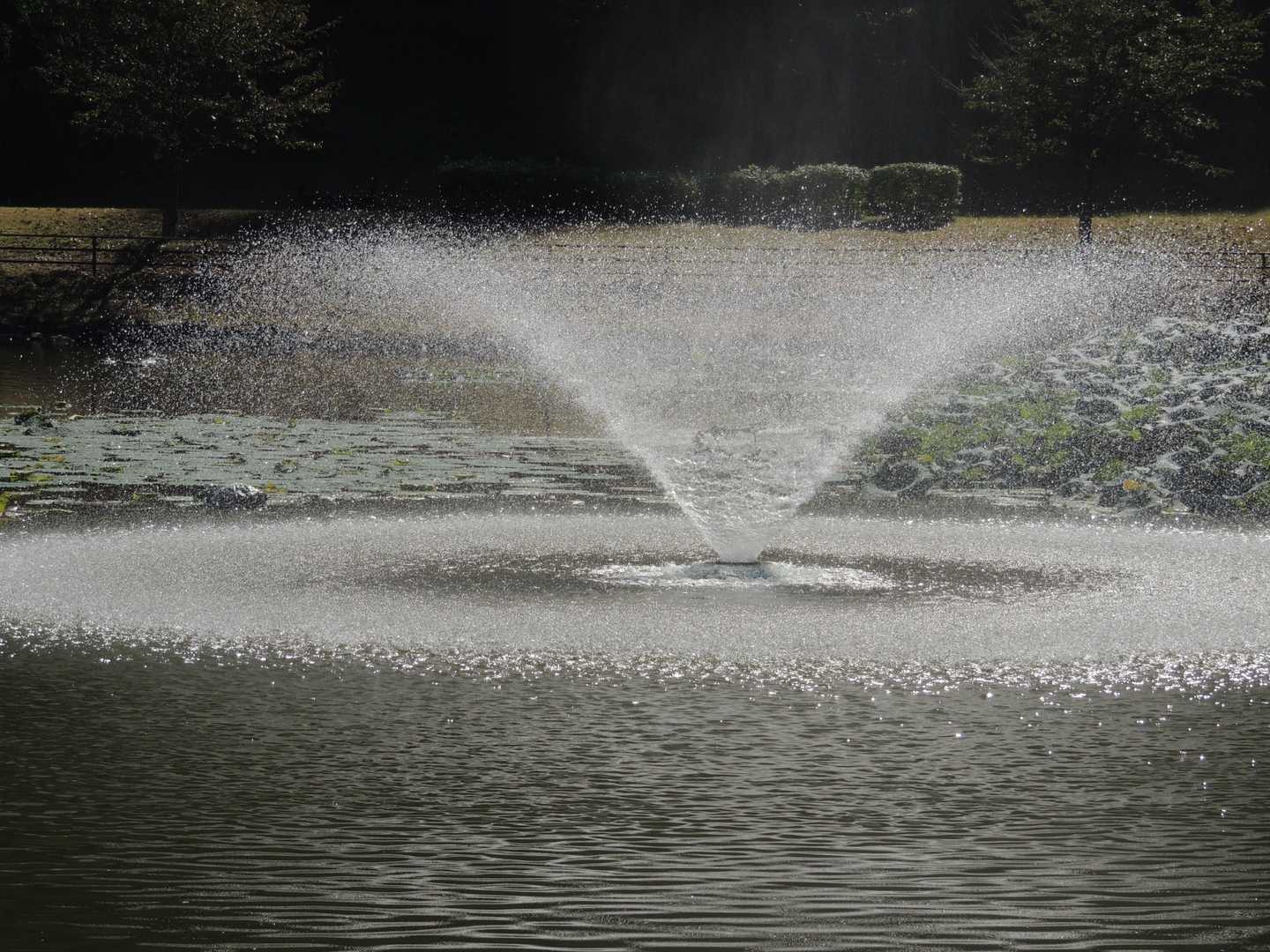 ⛲️