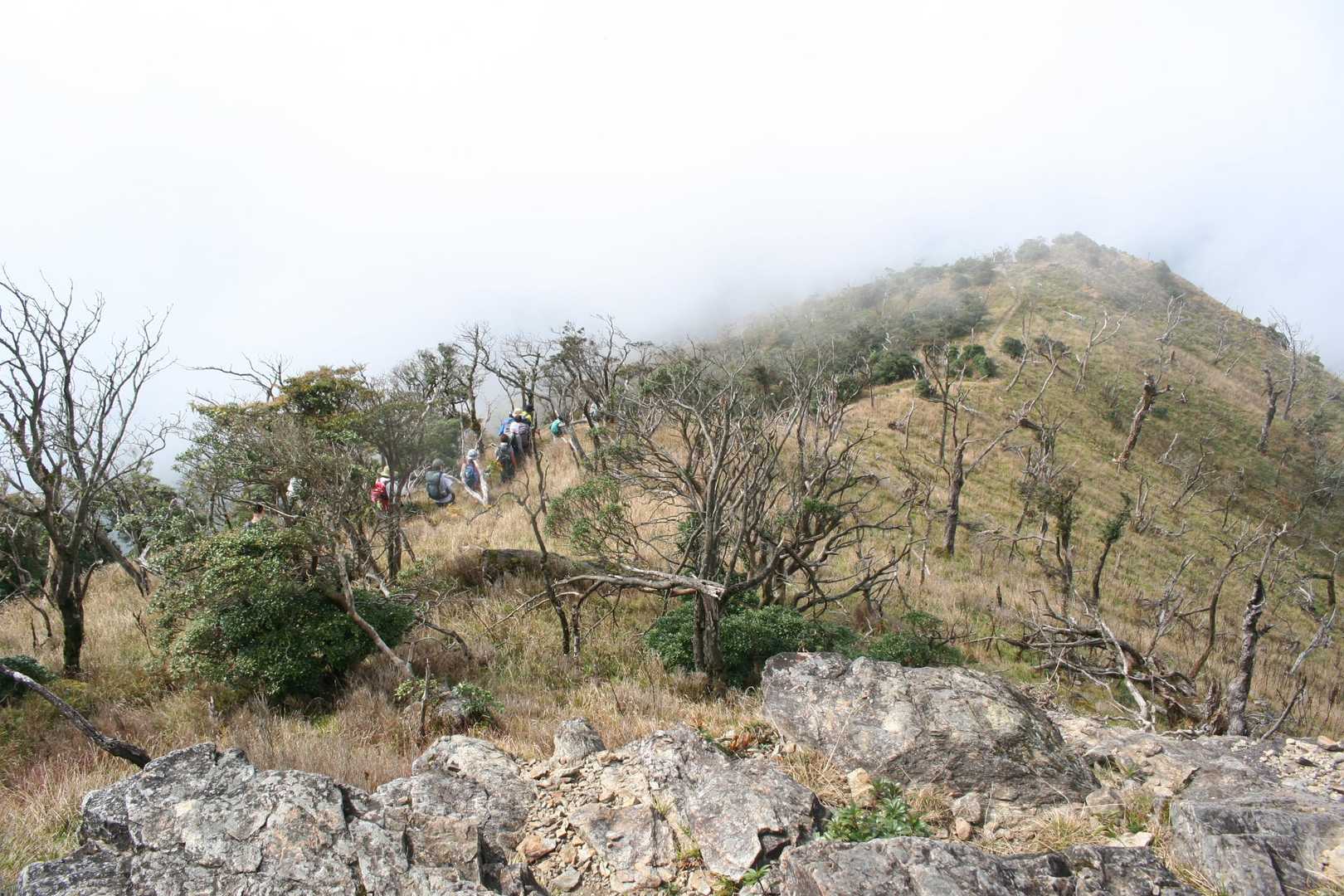 先発隊が下山、なんとなく晴れてきてるように感じた。