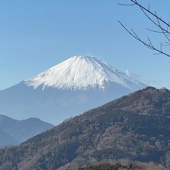 八国見山から見えます